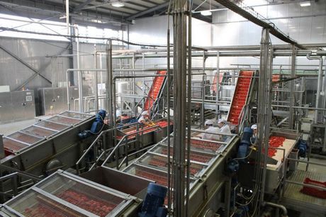 L'impianto di lavorazione del pomodoro della Solana. (Foto Solana)